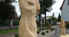 zdjęcie nr 8