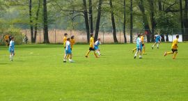 zdjęcie nr 8