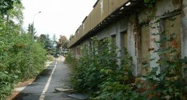 Fotka nr 5 z 10