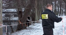 Fotka nr 3 z 4