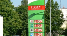 Fotka nr 2 z 11