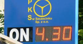 zdjęcie nr 7