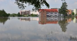 zdjęcie nr 14