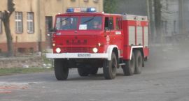 Fotka nr 3 z 37
