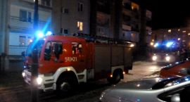 Fotka nr 1 z 8