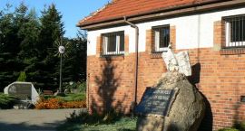 zdjęcie nr 7