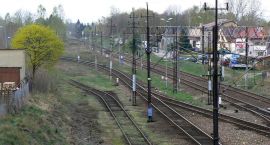 zdjęcie nr 7