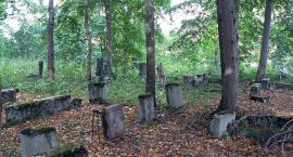 zdjęcie nr 13