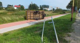 Fotka nr 1 z 16