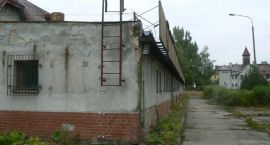 Fotka nr 1 z 12