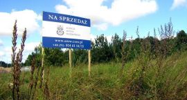 Fotka nr 0 z 3