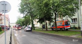 Fotka nr 5 z 6