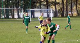 Fotka nr 2 z 17