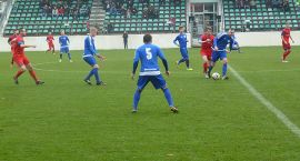 Fotka nr 5 z 31