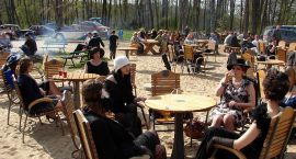 zdjęcie nr 36