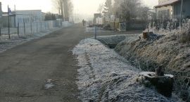 Fotka nr 2 z 4