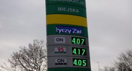 Fotka nr 4 z 10