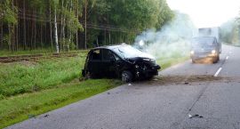 Fotka nr 1 z 15