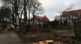Fotka nr 5 z 6