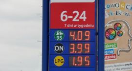 zdjęcie nr 8