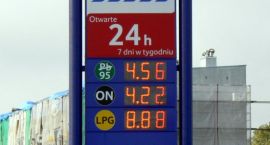 zdjęcie nr 9