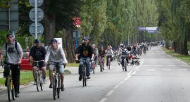 zdjęcie nr 11