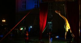 zdjęcie nr 77