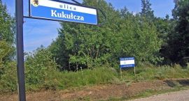 Fotka nr 4 z 8