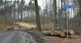 zdjęcie nr 7