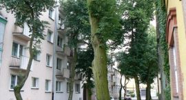 zdjęcie nr 18