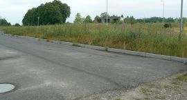 Fotka nr 2 z 4