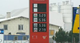 zdjęcie nr 8