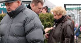 zdjęcie nr 16