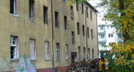 Fotka nr 4 z 14