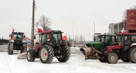 Fotka nr 2 z 6