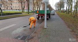 Fotka nr 1 z 4