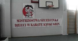 zdjęcie nr 11