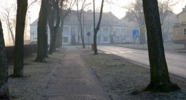 Fotka nr 3 z 8