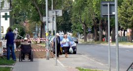 zdjęcie nr 8