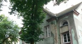 zdjęcie nr 12