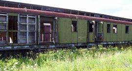 zdjęcie nr 9