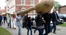 zdjęcie nr 16