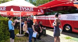 zdjęcie nr 26