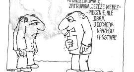 zdjęcie nr 12