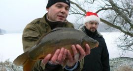 zdjęcie nr 12