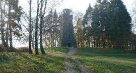 zdjęcie nr 8