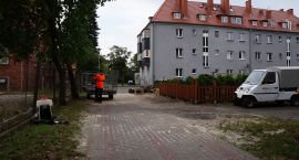 Fotka nr 1 z 3