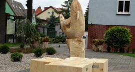zdjęcie nr 11
