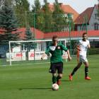 zdjęcie nr 12