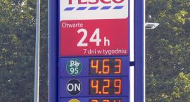zdjęcie nr 9